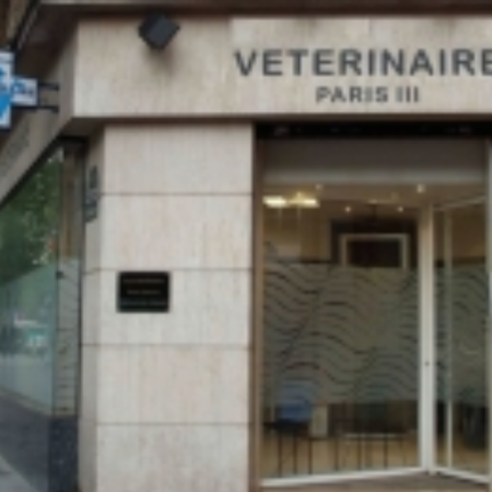 Clinique vétérinaire du Dr Kupfer, établissement vétérinaire à Paris 3ème