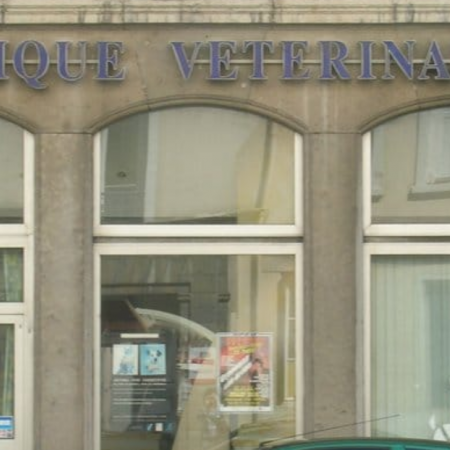 Clinique Vétérinaire Bellecour, établissement vétérinaire à Lyon 2ème