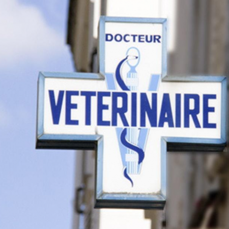 Clinique Vétérinaire Saint Roch, établissement vétérinaire à Lyon 3ème
