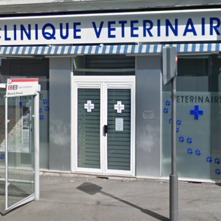 Cabinet vétérinaire du Dr MEYER, établissement vétérinaire à Lyon 3ème
