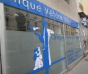 Clinique Vétérinaire Guillotière, établissement vétérinaire à Lyon 7ème