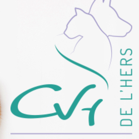 SELARL VETERINAIRE DE L HERS, établissement vétérinaire à Toulouse 31500