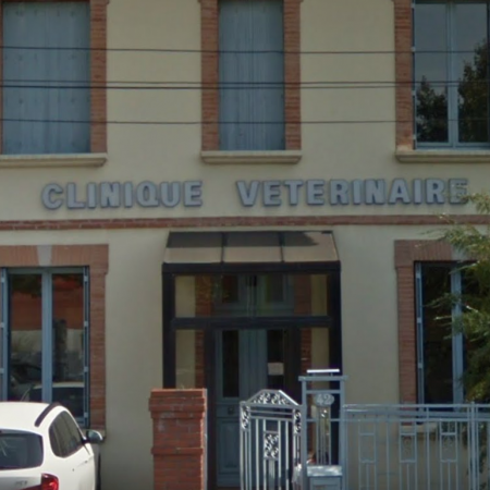 CLINIQUE VÉTÉRINAIRE DES MINIMES, établissement vétérinaire à Toulouse 31200