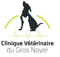 Clinique Vétérinaire du Gros Noyer, établissement vétérinaire à Saint-Prix