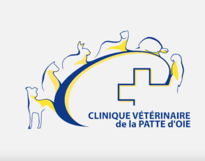 Service NAC - Clinique vétérinaire de la Patte d'Oie, établissement vétérinaire à Montigny-lès-Cormeilles