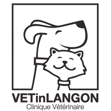 VETinLANGON, établissement vétérinaire à Langon
