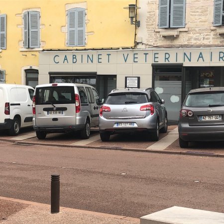 CABINET VETERINAIRE DES ARCADES, établissement vétérinaire à Montmerle-sur-Saône
