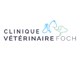 Clinique vétérinaire Foch, établissement vétérinaire à Béziers