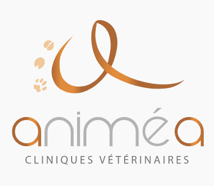 CLINIQUE VETERINAIRE ANIMEA - LA ROCHE SUR YON, établissement vétérinaire à La Roche-sur-Yon