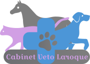 Cabinet Vétérinaire VETO LAROQUE, établissement vétérinaire à Laroque-Timbaut