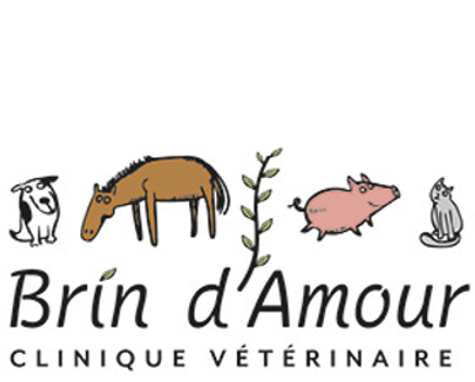 Clinique vétérinaire Brin d'Amour, établissement vétérinaire à La Trinité