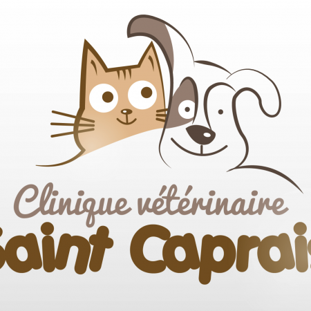 CLINIQUE VETERINAIRE SAINT CAPRAIS, établissement vétérinaire à L'Union