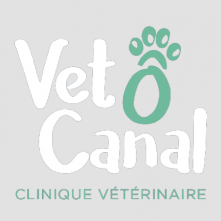 Clinique vétérinaire Vet'ô Canal, établissement vétérinaire à Montech