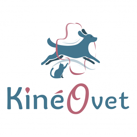 KinéOvet - Cabinet vétérinaire de physiothérapie, établissement vétérinaire à Naucelle