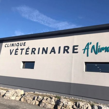 CLINIQUE VETERINAIRE A'NIMO, établissement vétérinaire à Rosières
