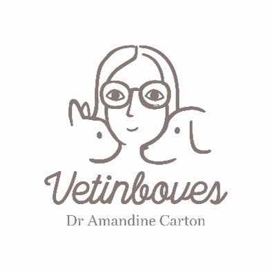 Cabinet Vétérinaire VETINBOVES       Docteur Carton Amandine, établissement vétérinaire à Boves