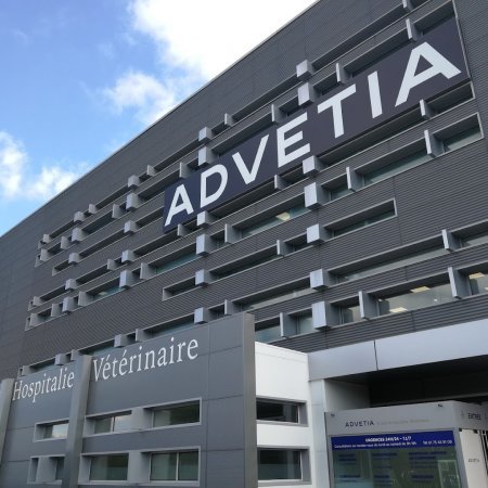 ADVETIA, établissement vétérinaire à Vélizy-Villacoublay
