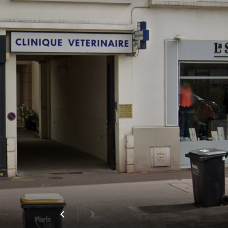 CLINIQUE VÉTÉRINAIRE DU DOCTEUR LAURENT MAS, établissement vétérinaire à Charenton-le-Pont