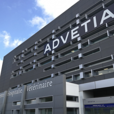 ADVETIA - Service imagerie, établissement vétérinaire à Vélizy-Villacoublay