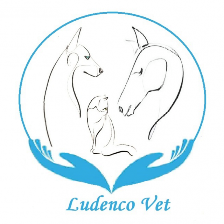 Clinique vétérinaire Ludenco Vet, établissement vétérinaire à Landrecies