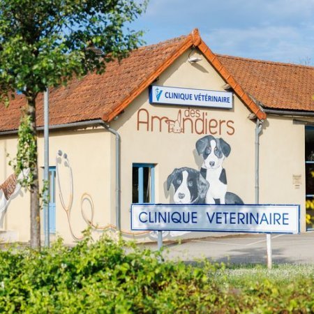Clinique vétérinaire des Amandiers, établissement vétérinaire à Beaune