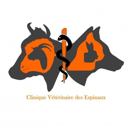 CLINIQUE VETERINAIRE DES ESPINAUX, établissement vétérinaire à Saint-Privat-des-Vieux
