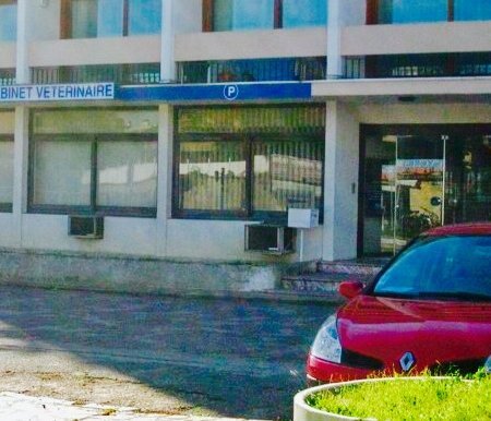 CABINET VETERINAIRE ST MARTIN, établissement vétérinaire à Montpellier 34000