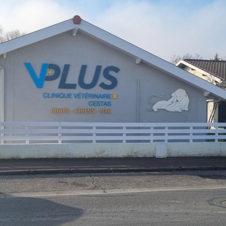 CLINIQUE VÉTÉRINAIRE VPLUS CESTAS, établissement vétérinaire à Cestas