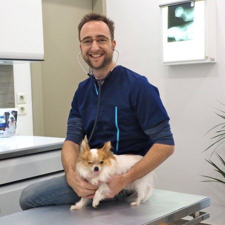 CLINIQUE VETERINAIRE PARIS 17, établissement vétérinaire à Paris 17ème