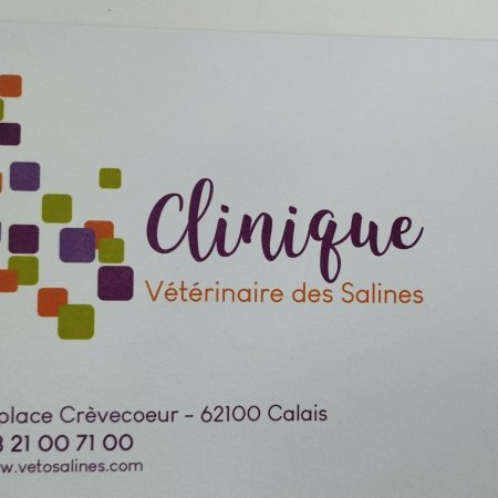 CLINIQUE VETERINAIRE DES SALINES, établissement vétérinaire à Calais