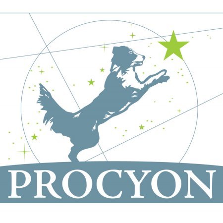 CABINET VETERINAIRE PROCYON, établissement vétérinaire à Château-Thébaud