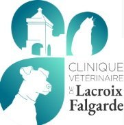CLINIQUE VETERINAIRE DE LACROIX FALGARDE, Établissement vétérinaire à Lacroix-Falgarde