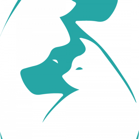 CLINIQUE VETERINAIRE DU CHIEN VERT, Établissement vétérinaire à Jonage
