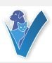 CABINET VETERINAIRE DU VAL DE SEINE, Établissement vétérinaire à Le Grand-Quevilly