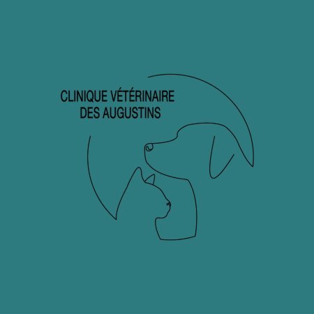 CLINIQUE VÉTÉRINAIRE DES AUGUSTINS, Établissement vétérinaire à La Bassée