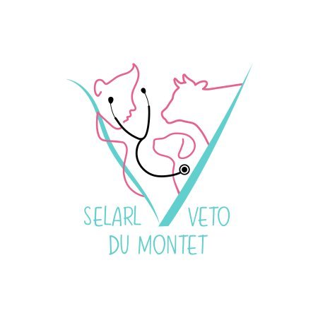 SELARL VETO DU MONTET, Établissement vétérinaire à Le Montet