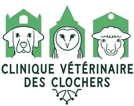 CLINIQUE VETERINAIRE DES CLOCHERS, Établissement vétérinaire à Couffouleux