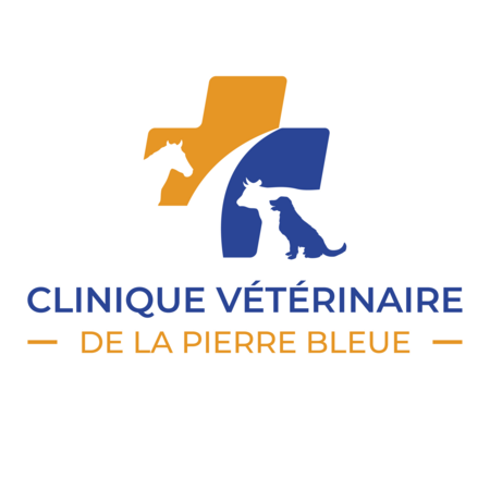 Clinique Vétérinaire de la Pierre Bleue, Établissement vétérinaire à Pipriac
