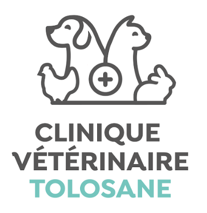 CLINIQUE VÉTÉRINAIRE TOLOSANE, Établissement vétérinaire à Toulouse 31400