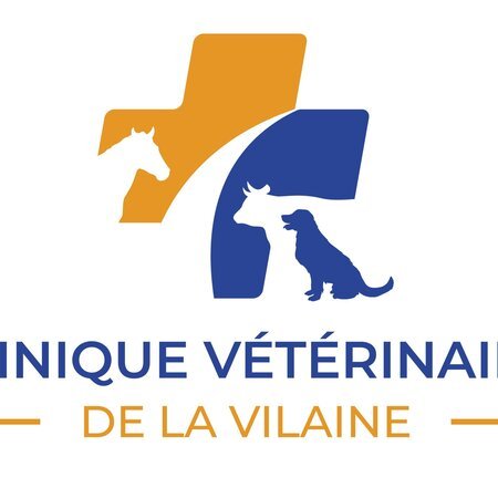 CLINIQUE VÉTÉRINAIRE DE LA VILAINE, Établissement vétérinaire à Guipry