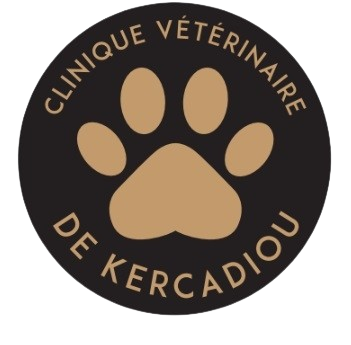 CLINIQUE VÉTÉRINAIRE DE KERCADIOU, Établissement vétérinaire à Lanvollon
