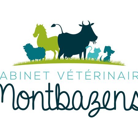 CLINIQUE VETERINAIRE VETHORIZONS MONTBAZENS, Établissement vétérinaire à Montbazens
