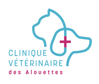 CLINIQUE VETERINAIRE DES ALOUETTES, Établissement vétérinaire à Nanterre