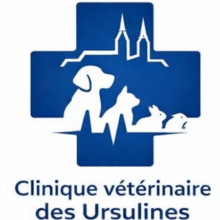 CLINIQUE VETERINAIRE DES URSULINES - VILLEFRANCHE, Établissement vétérinaire à Villefranche-sur-Saône