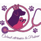 CABINET VÉTÉRINAIRE DU DR MILLET Anne-Sophie, Établissement vétérinaire à Tournefeuille