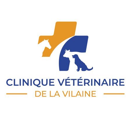 CLINIQUE VÉTÉRINAIRE DE LA VILAINE, Établissement vétérinaire à Guipry