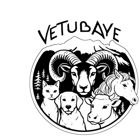 CABINET VETERINAIRE VETUBAYE, Établissement vétérinaire à Jausiers