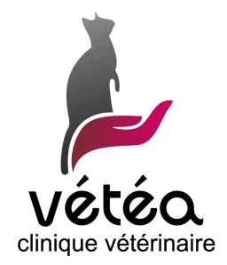 Clinique Vétérinaire VETEA, Établissement vétérinaire à Saintes