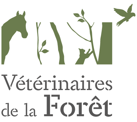VETERINAIRE DE LA FORET, Établissement vétérinaire à Cissac-Médoc