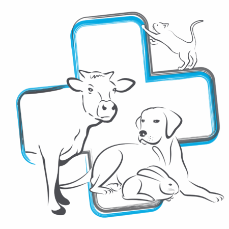 CLINIQUE VETERINAIRE DU PARC, Établissement vétérinaire à Feurs